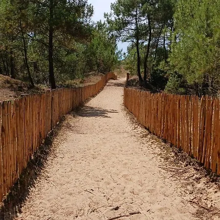 Tatil Evi La Petite Maison Bleue A 3 Min A Pied De La